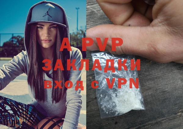 сатива Нефтекумск