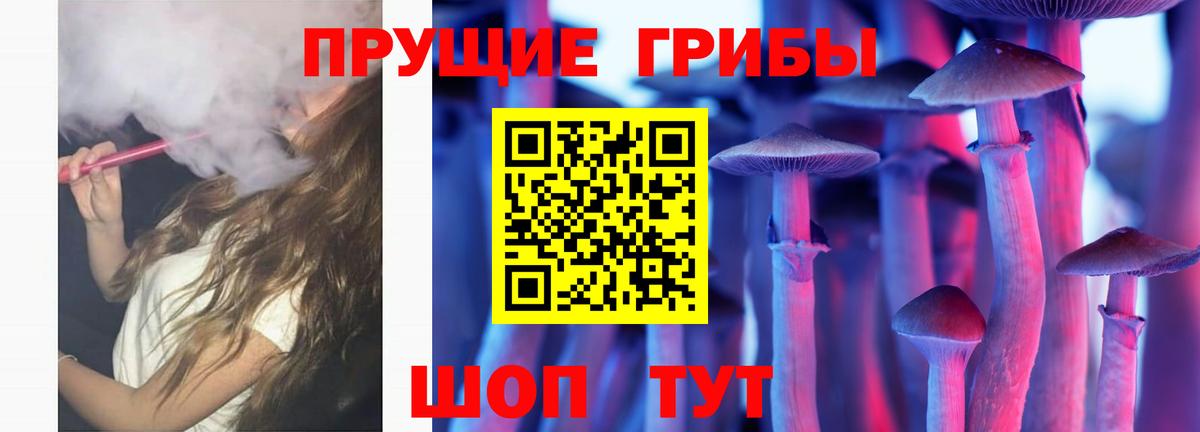 Псилоцибиновые грибы Psilocybe  Вход с VPN  купить  цена  Смоленск 